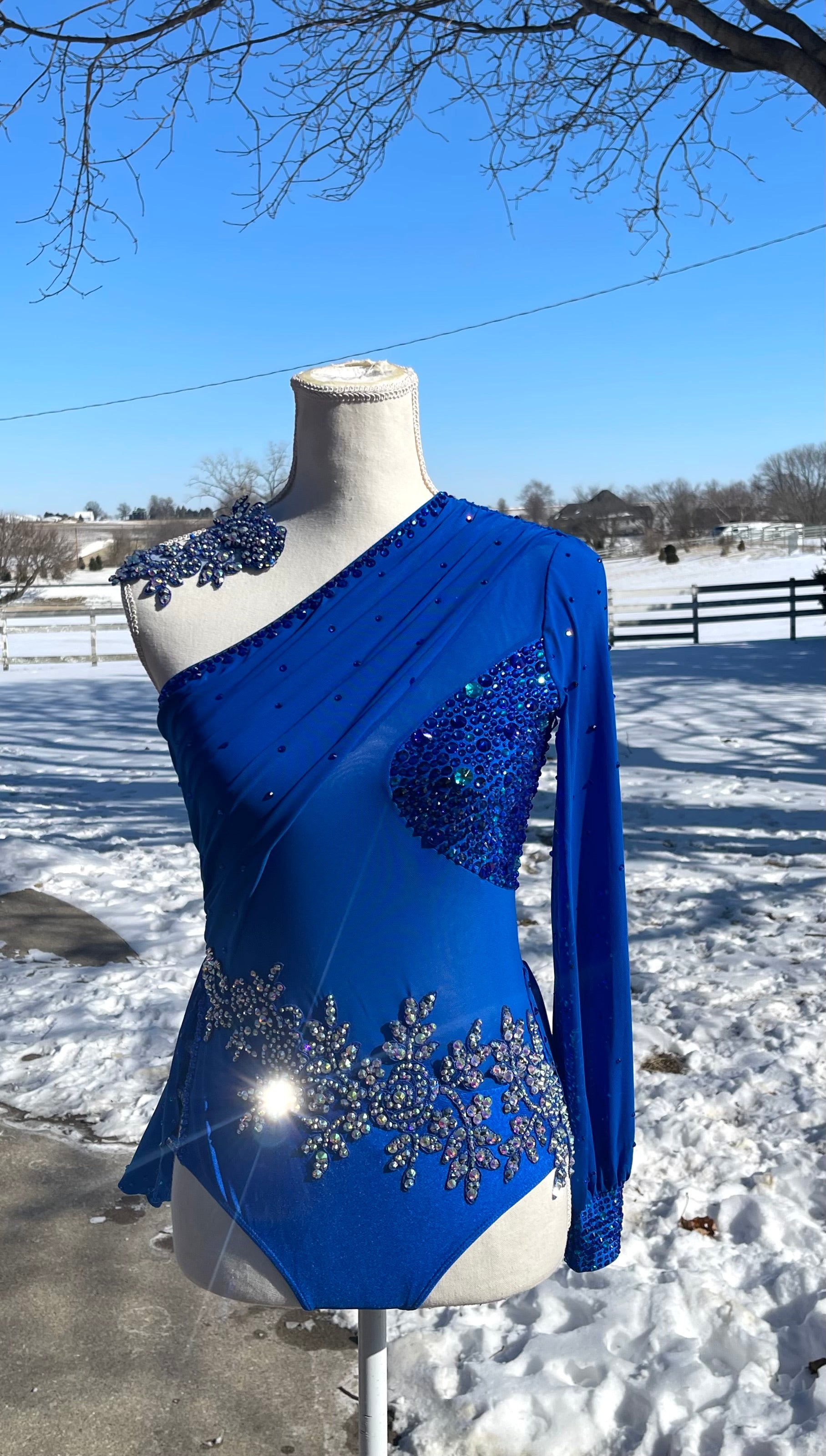 Adult Medium Royal Blue Lyrical/Contemporary Dance Costume